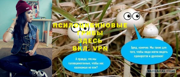 марихуана Абаза
