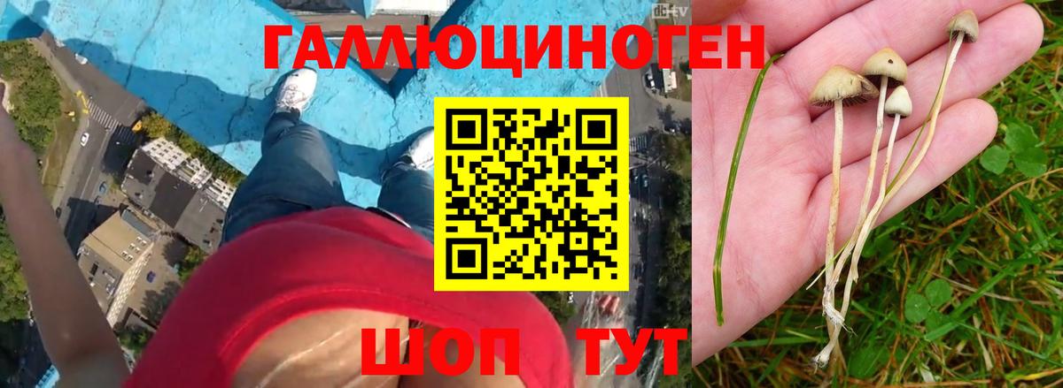 Галлюциногенные грибы Cubensis  Вход с VPN  Севастополь 